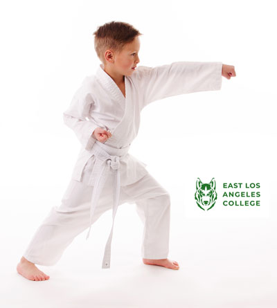 Kenpo Karate Level I - Ages: 5 yrs. and up - In person instruction Graphic