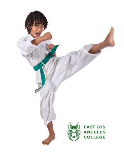 Kenpo Karate Level III - Ages: 5 yrs. and up - In person instruction Graphic